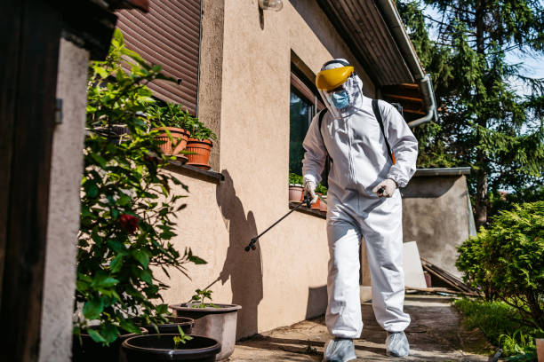 Best Emergency Pest Control  in Kechi, KS