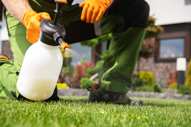 Best Pest Inspection Near Me  in Kechi, KS