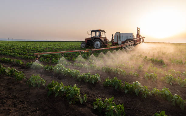 Best Ant Control Services  in Kechi, KS