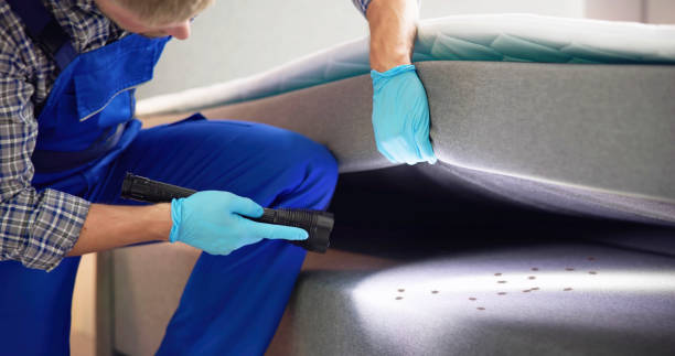 Best Pest Control Cost  in Kechi, KS