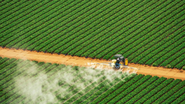 Best Pest Prevention Services  in Kechi, KS