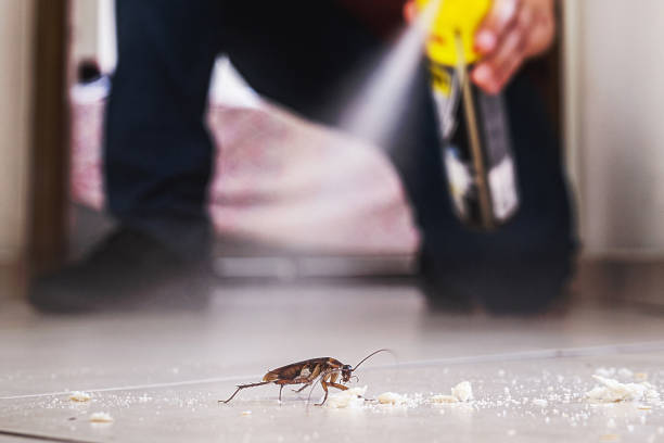 Best Affordable Pest Control Services  in Kechi, KS