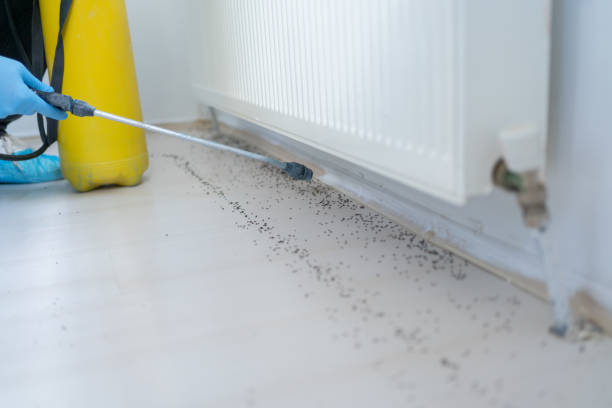 Best Commercial Pest Control Services  in Kechi, KS